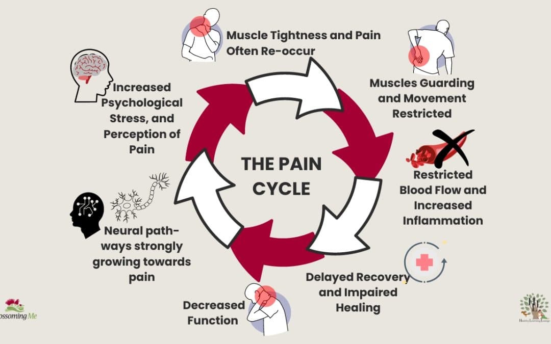 Dysregulated Sympathetic Nervous System & Persistent Pain - Credit: Blossoming Me