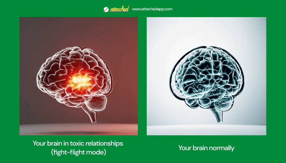 toxic relationship brain
