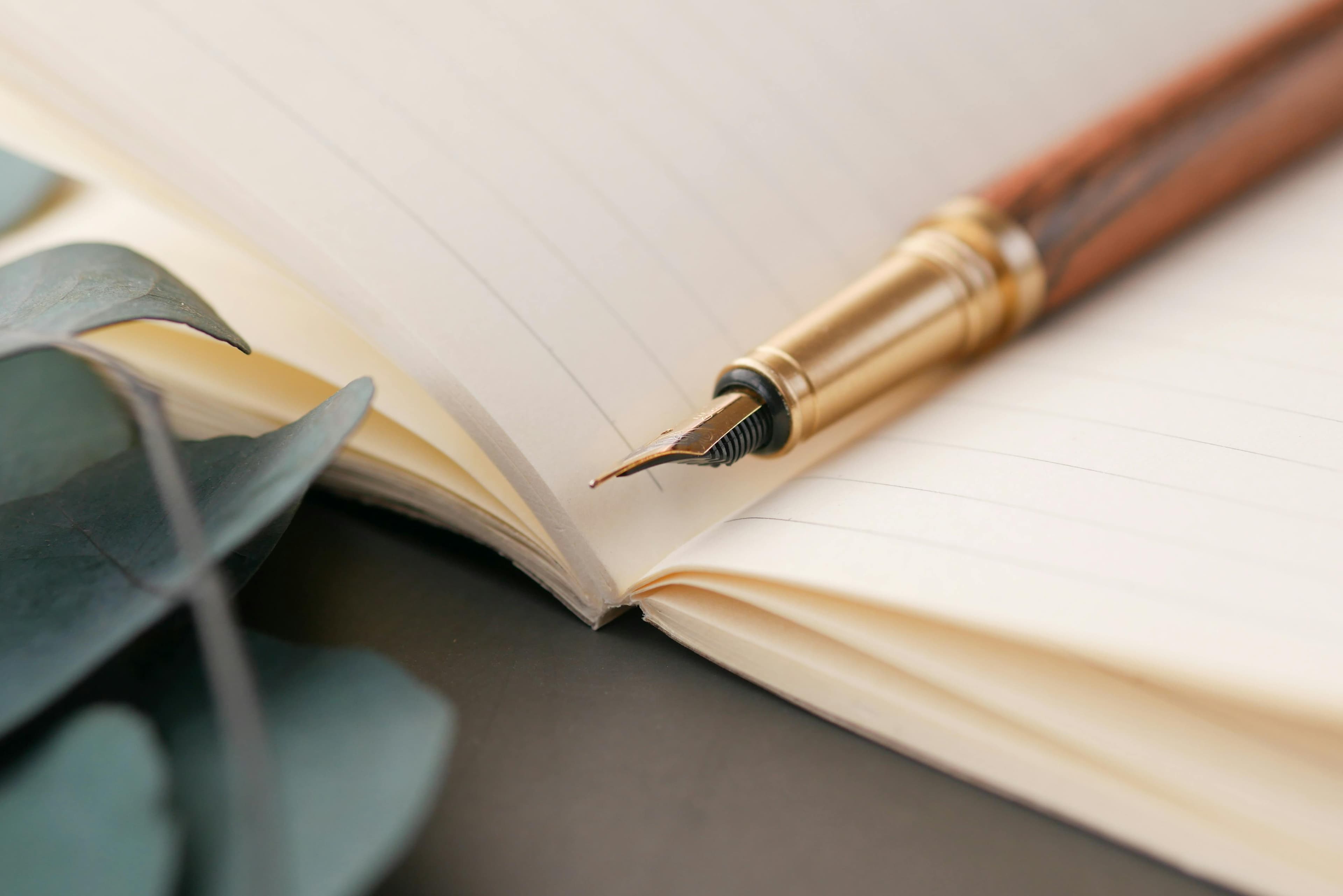 Photo by Towfiqu barbhuiya: https://www.pexels.com/photo/close-up-shot-of-a-pen-on-a-notebook-11154571/