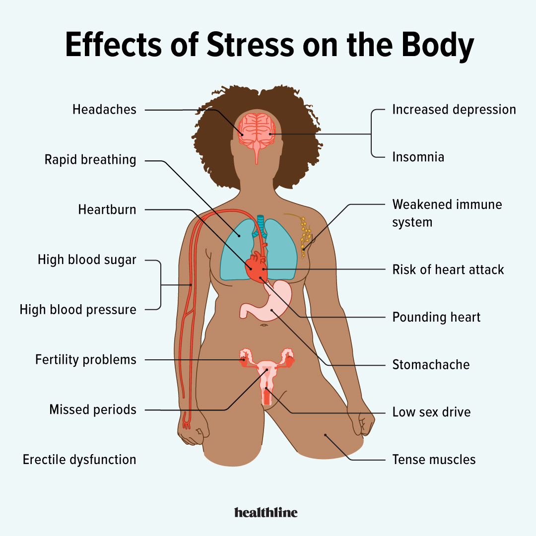 Diagram showing how stress affects the body